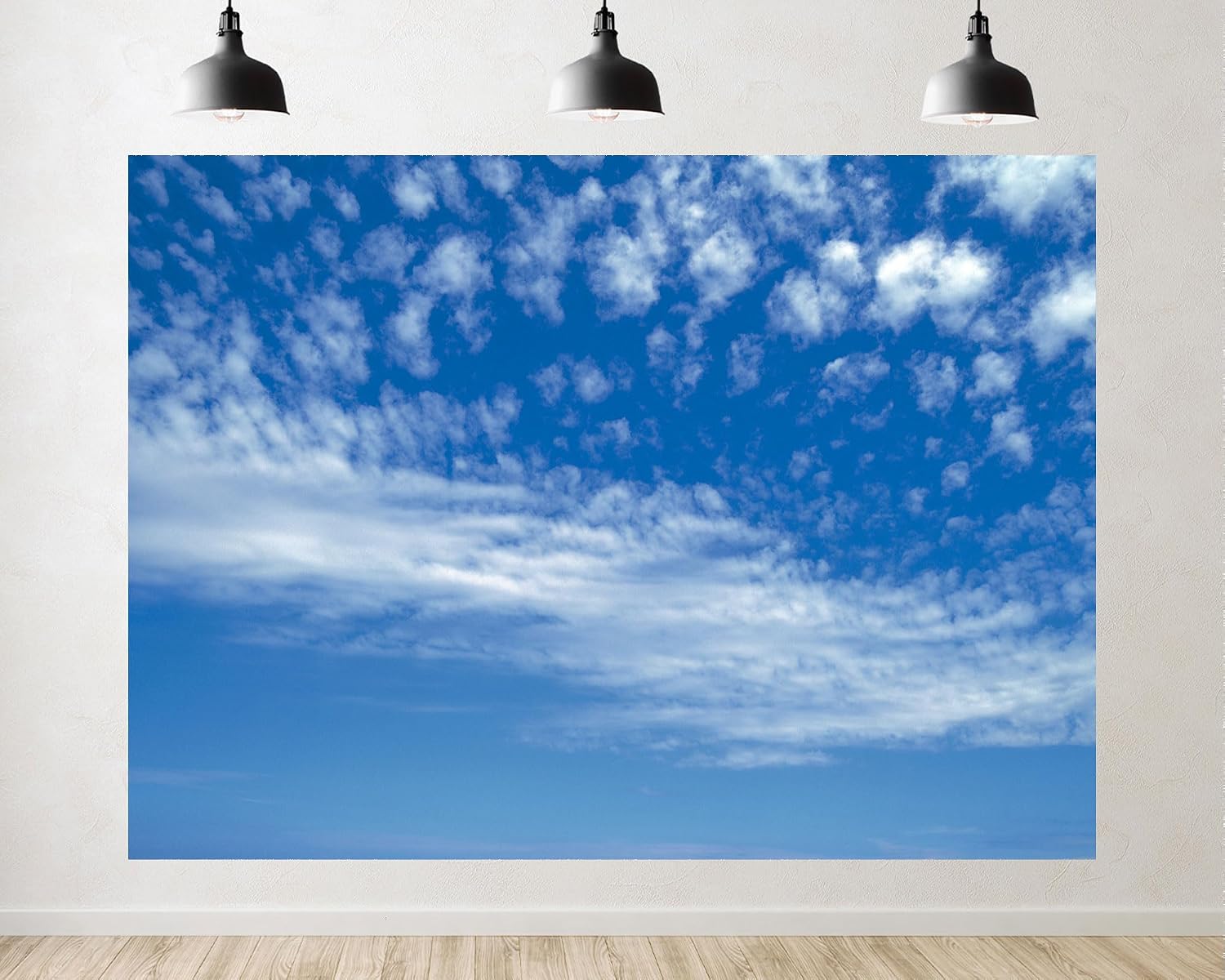 Trykid 20x10ft Blue Sky White Clouds Backdrop Clear Sky Clouds Natural Scenery Photography Background Newborn Baby Shower Wedding Birthday Party Decoration Photo Prop Fabric