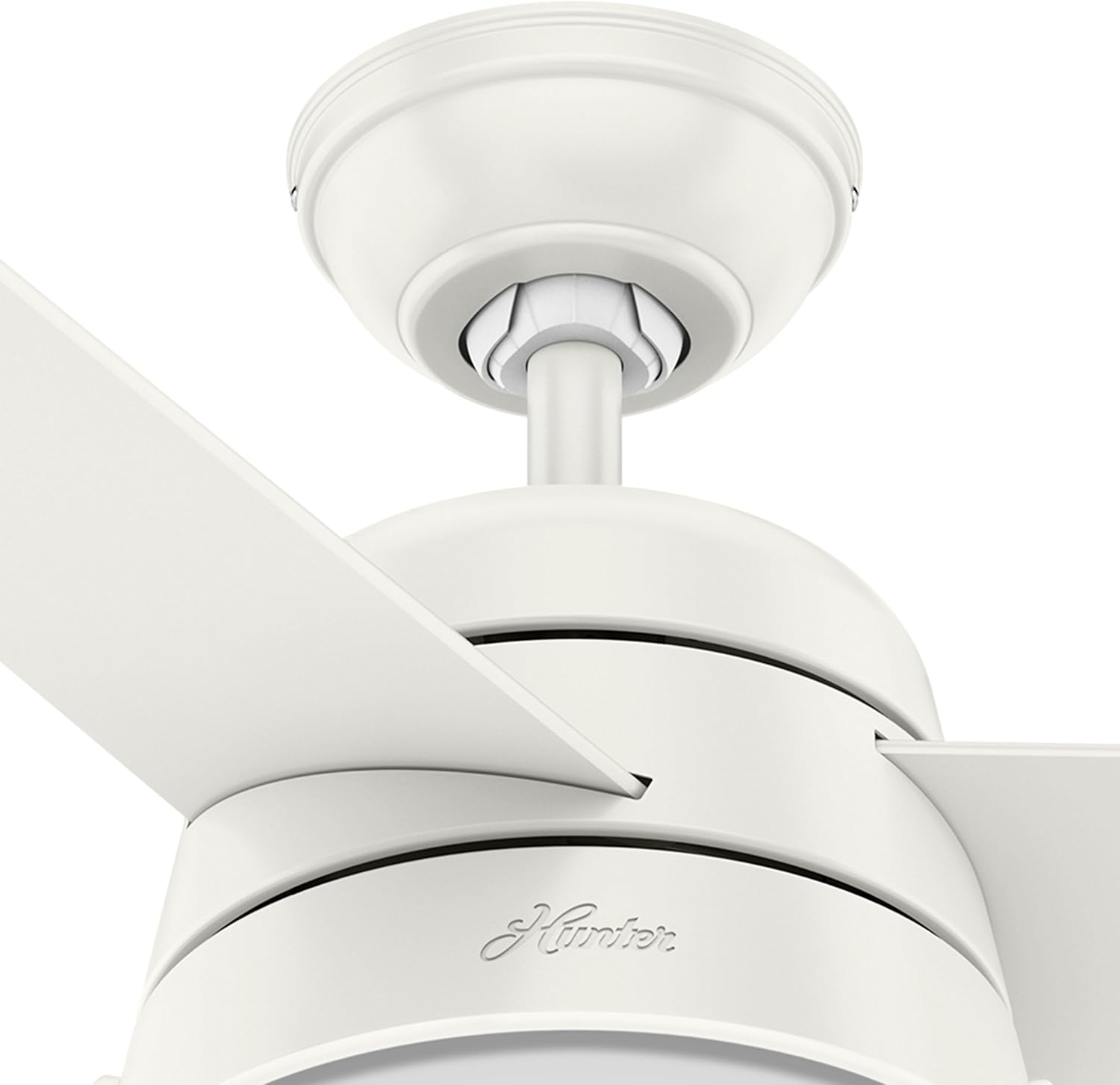 Hunter Fan 36 Inch Fresh White Indoor Ceiling Fan with Light and Pull Chain for Bedroom, Kitchen, Living Room (Renewed)