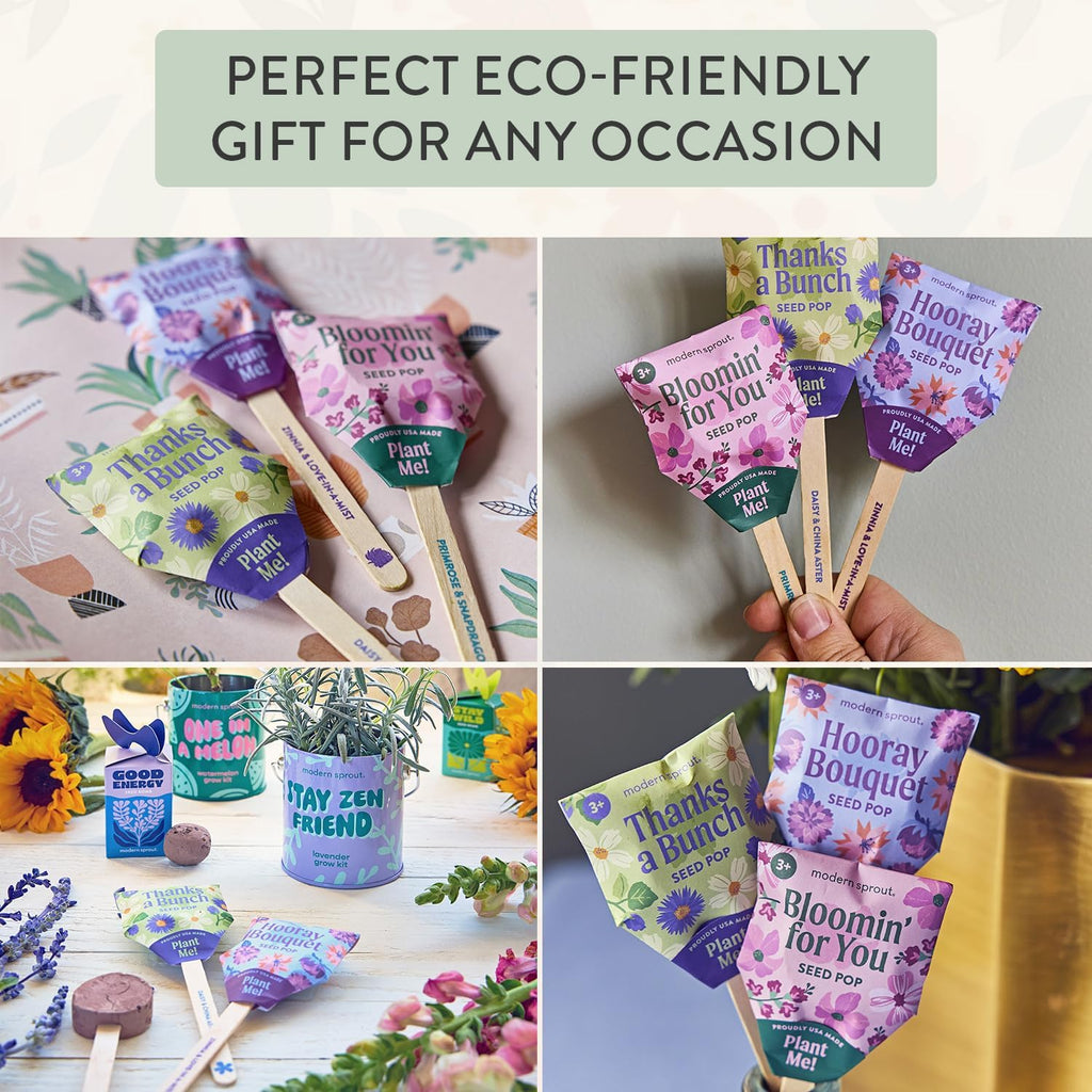 Modern Sprout Easter Basket Essentials - Seed Pops, Magical Minds & Easter Plop - Spring Gardening Starter Kit for Kids - Non-Candy Easter Basket Stuffer - Eco-Friendly Growing Gift Set for Kids
