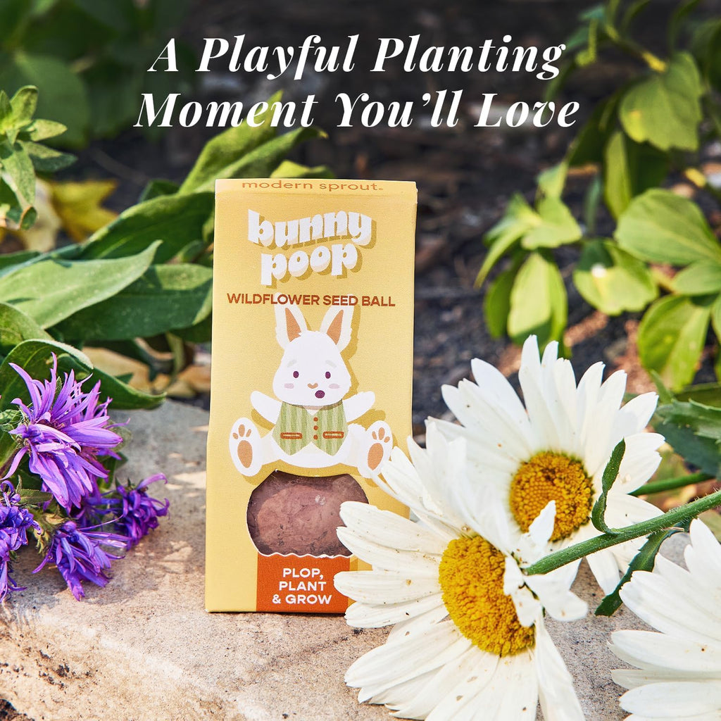 Modern Sprout Easter Basket Essentials - Seed Pops, Magical Minds & Easter Plop - Spring Gardening Starter Kit for Kids - Non-Candy Easter Basket Stuffer - Eco-Friendly Growing Gift Set for Kids