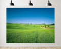Trykid 20x10ft Endless Green Fields Backdrop Rolling Hills Distant Cypress Trees Clear Blue Sky Photography Background Country Party Decoration Photo Booth Prop Fabric