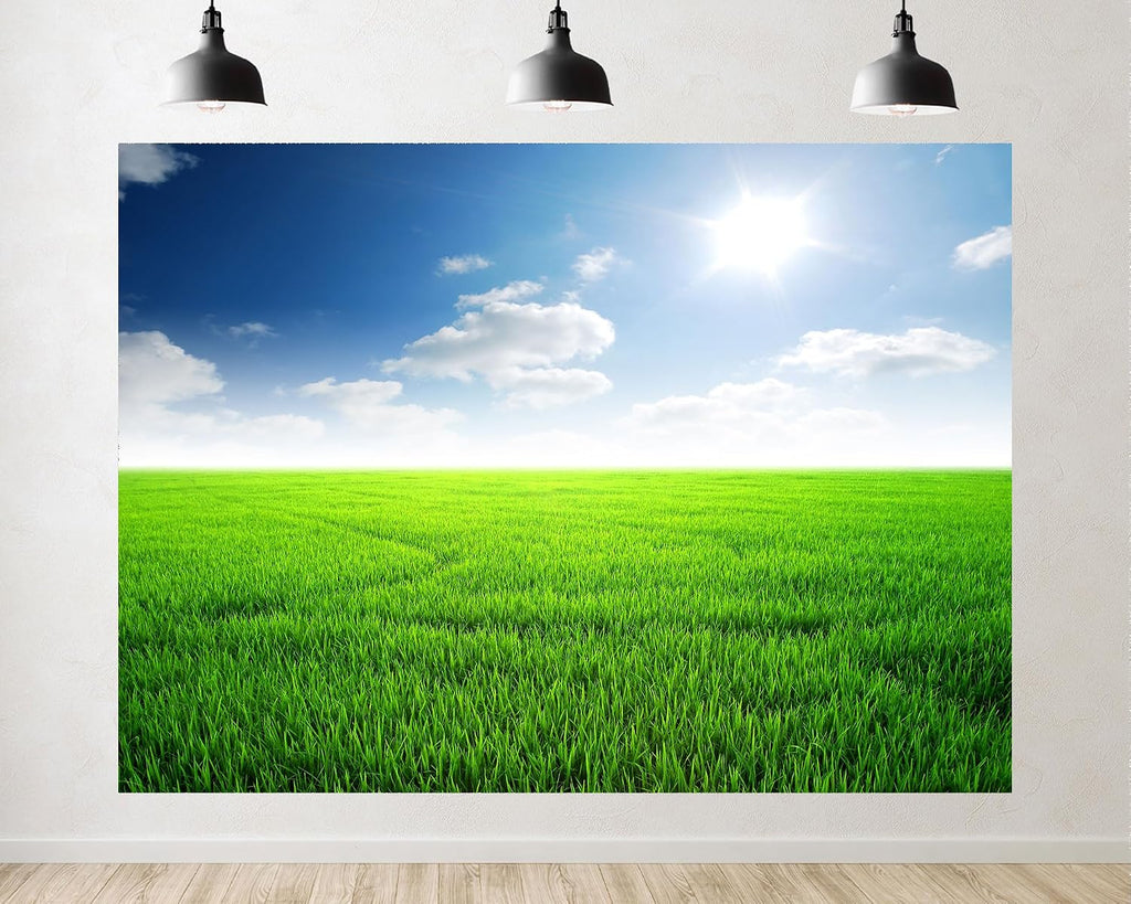 Trykid 20x10ft Sunlit Green Field Backdrop Clear Blue Sky Vast Grassland Bright Sunshine Photography Background Nature Shoots Tapestry Party Decoration Photo Studio Prop Fabric