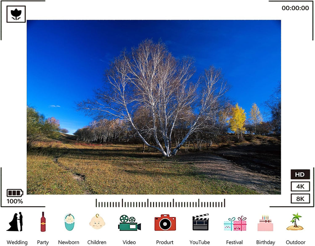 Trykid 20x10ft White Birch Trees Grassy Field Backdrop Clear Blue Sky Autumn Meadow Serene View Photography Background Wedding Event Decoration Photo Booth Prop Fabric