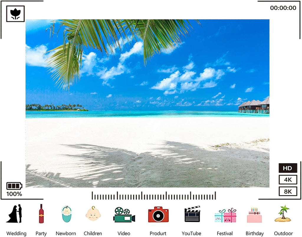Trykid 20x10ft Tropical White Sand Beach Backdrop Turquoise Water Palm Leaves Overwater Bungalows Clear Sky Photography Background Island Tapestry Party Decoration Photo Studio Prop Fabric