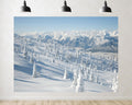 Trykid 20x10ft Snow Covered Mountain Backdrop Pristine White Slopes Frosted Evergreen Trees Clear Blue Sky Photography Background Winter Sports Event Party Decoration Photo Booth Prop Fabric