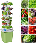Hydroponics Growing System Kit, 30 Pots Vertical Garden Planter with Pump and Timer, Hydropoic Tower for Soilless Cultivation Herbs Fruits Vegetables, Plant Gift for Gardening Lover(No Seed)
