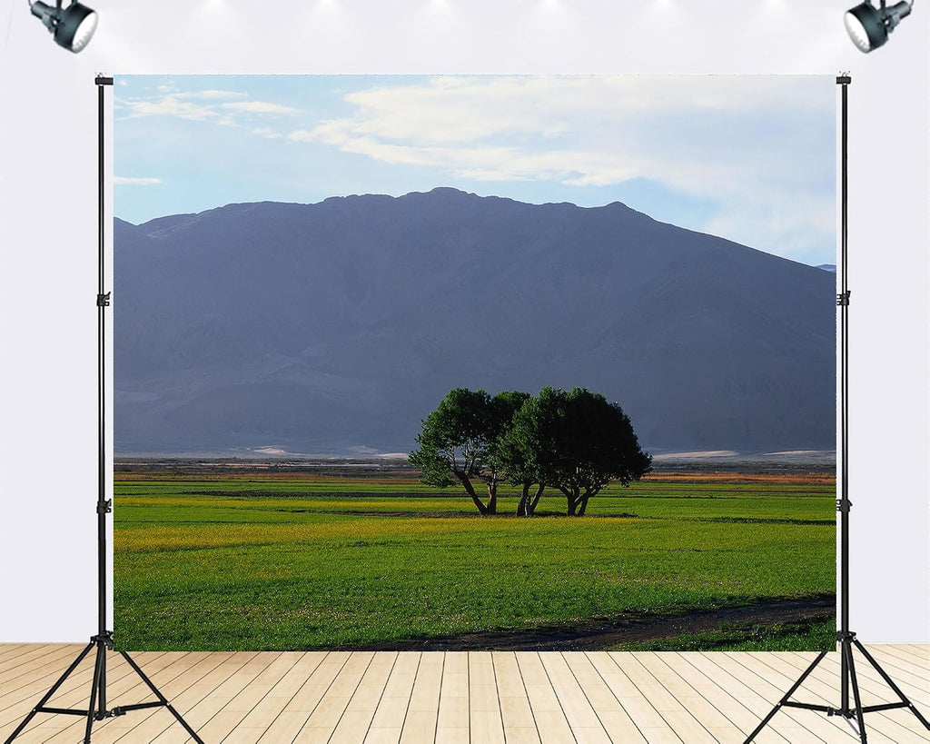 Trykid 20x10ft Green Field Trees Backdrop Distant Mountains Clear Sky Lush Foliage Serene Countryside Scene Photography Background Nature Inspired Party Decoration Photo Booth Prop Fabric
