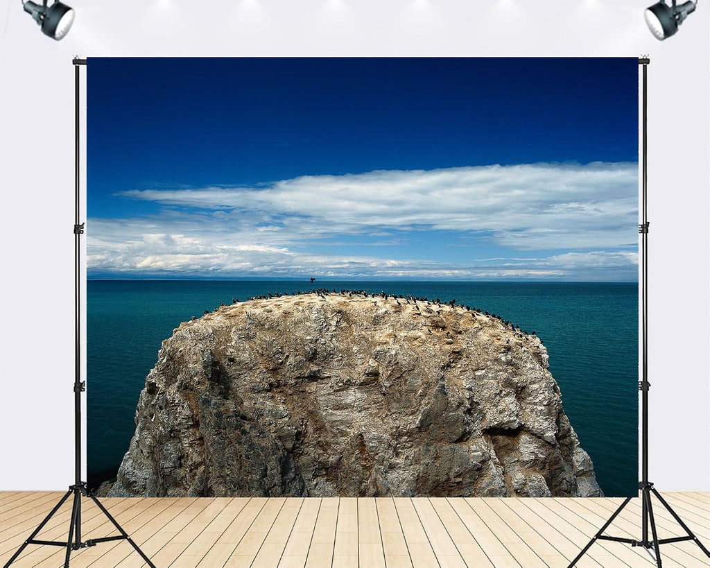 Trykid 20x10ft Bird Rock Backdrop Turquoise Sea Clear Sky Seabird Colony Coastal Waters Photography Background Countryside Wedding Event Party Decoration Photo Booth Prop Fabric