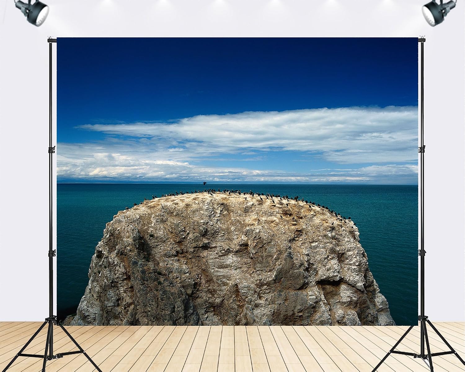 Trykid 20x10ft Bird Rock Backdrop Turquoise Sea Clear Sky Seabird Colony Coastal Waters Photography Background Countryside Wedding Event Party Decoration Photo Booth Prop Fabric