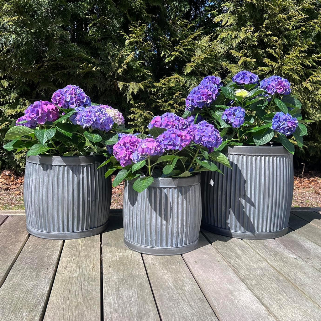 WHW Whole House Worlds French Country Style Belly Bucket Planters, Set of 3, Galvanized Metal, Corrugated Cache Pots, Rustic Wash Basin, from Over 1 Ft Diameter (17-12 Inches)