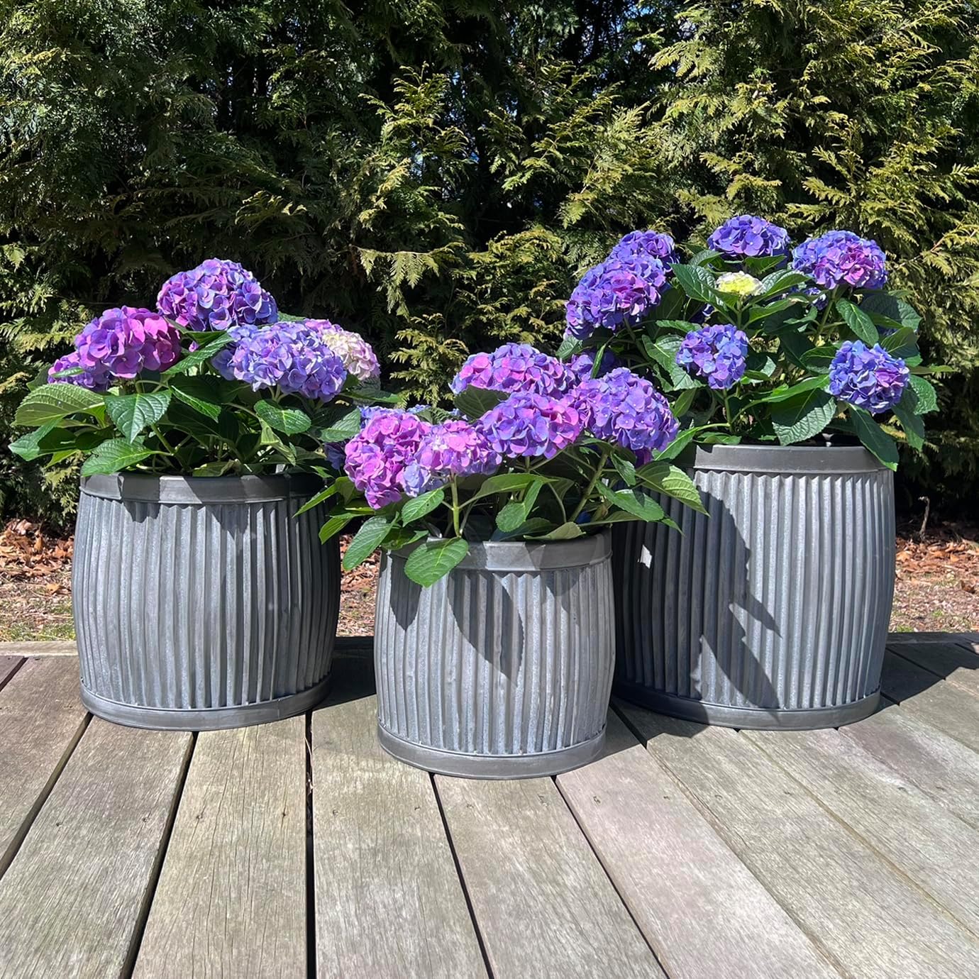 WHW Whole House Worlds French Country Style Belly Bucket Planters, Set of 3, Galvanized Metal, Corrugated Cache Pots, Rustic Wash Basin, from Over 1 Ft Diameter (17-12 Inches)