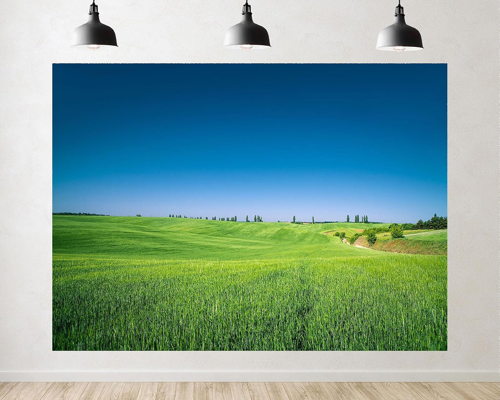 Trykid 20x10ft Lush Green Fields Clear Blue Sky Backdrop Serene Rural Landscape Photography Background Harvest Festival Event Party Decoration Photo Booth Prop Fabric