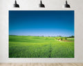 Trykid 20x10ft Lush Green Fields Clear Blue Sky Backdrop Serene Rural Landscape Photography Background Harvest Festival Event Party Decoration Photo Booth Prop Fabric