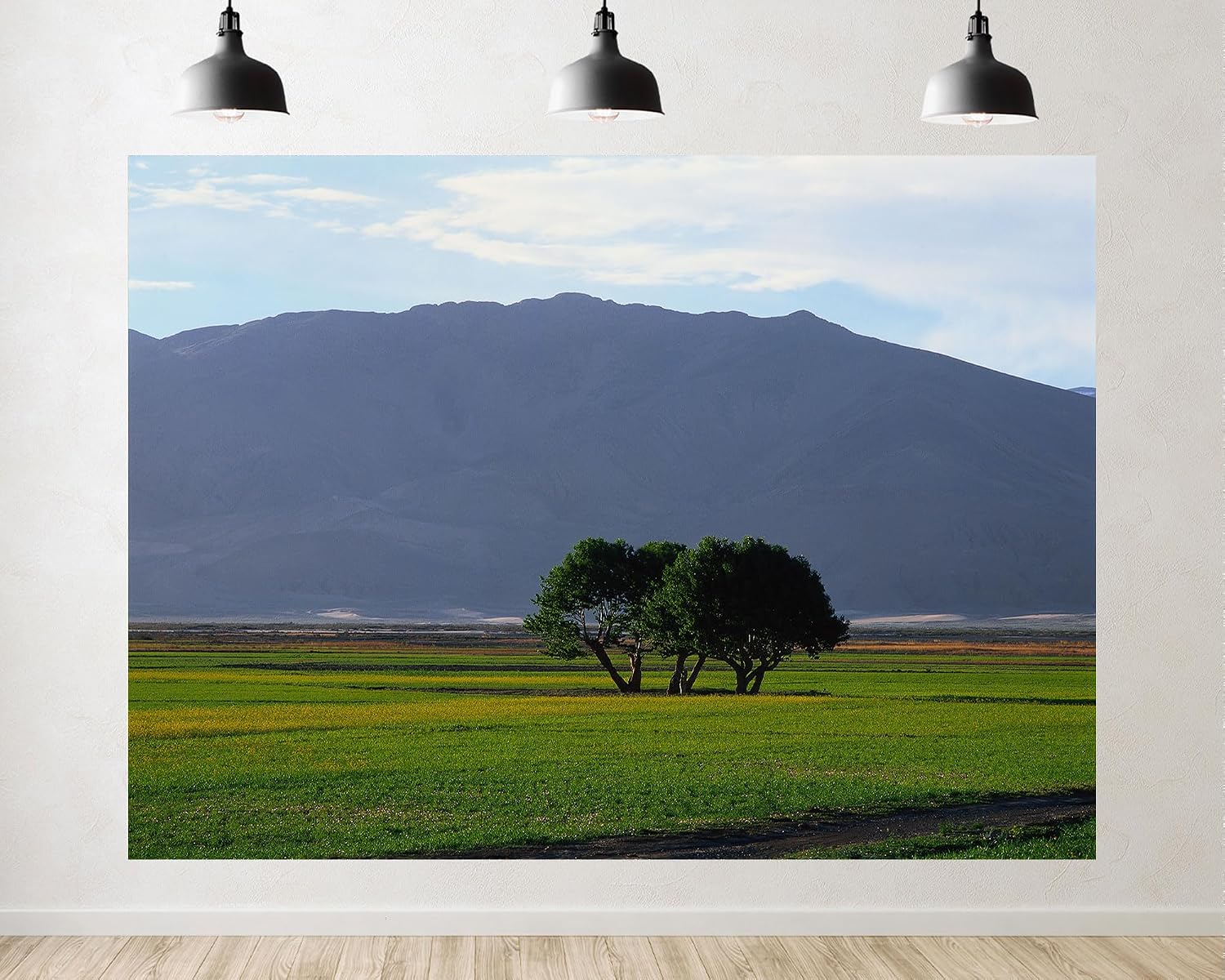 Trykid 20x10ft Green Field Trees Backdrop Distant Mountains Clear Sky Lush Foliage Serene Countryside Scene Photography Background Nature Inspired Party Decoration Photo Booth Prop Fabric
