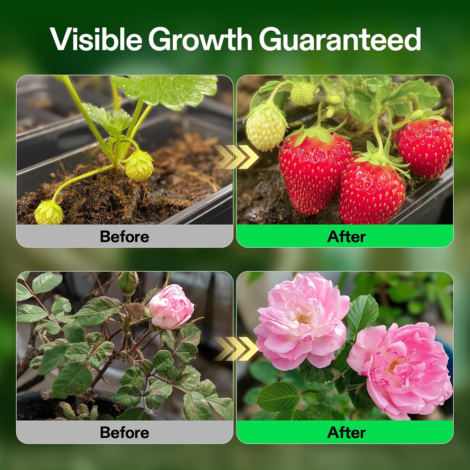 VIVOSUN Liquid Nutrients Base A & B Bundle, Grow Big Hydroponic Fertilizer, Supports Vegetative and Flowering Stages for Outdoor, Indoor Plants, Best Plant Food, Set of 1 Gallon