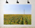 Trykid 20x10ft Sunflower Field Backdrop Golden Blooms Clear Blue Sky Landscape Photography Background Summer Outdoor Party Decoration Farm Event Photo Booth Prop Fabric