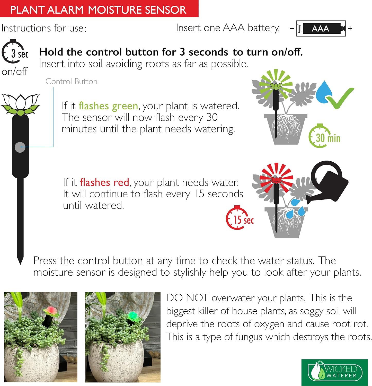 Indoor Gardening Essentials Kit – Dallas Esprit 11' Dia Ceramic Pot, Rolling Caddy, Stainless Trowel, Coir Discs & Moisture Meter