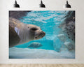 Trykid 20x10ft Underwater Sea Lion Backdrop Clear Blue Water Rocks Marine Mammal Scene Photography Background Aquarium Birthday Party Decoration Photo Booth Prop Fabric