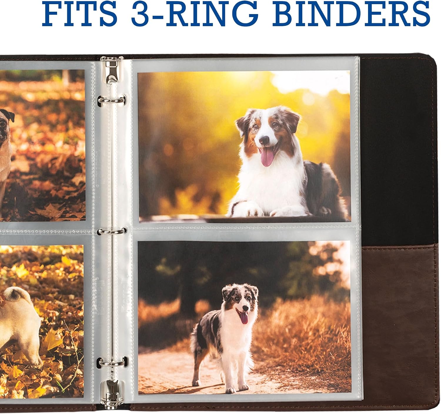Samsill 5x7 Photo Album Refills, 100 Pictures, 3-Ring Binder Sleeve Inserts, 2 Pocket Photo Page for 5x7 Photographs, Postcards, Recipe Cards, 400 Pictures Total (Pack of 1000)