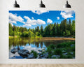 Trykid 20x10ft Forest Lake Clear Sky Rocks Backdrop Serene Natural Landscape Photography Background Outdoor Adventure Event Party Decoration Photo Booth Prop Fabric