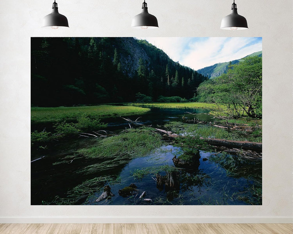 Trykid 20x10ft Forest Stream Backdrop Clear Blue Water Fallen Trunks Lush Green Grasses Dense Trees Serene Scene Photography Background Nature Inspired Party Decoration Photo Booth Prop Fabric