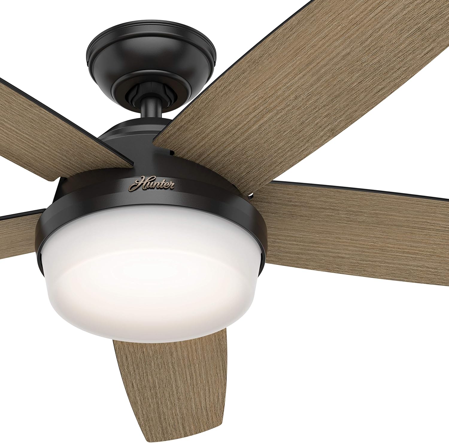 Hunter Fan 52 inch Contemporary Matte Black Indoor Ceiling Fan with Light Kit and Remote Control (Renewed)
