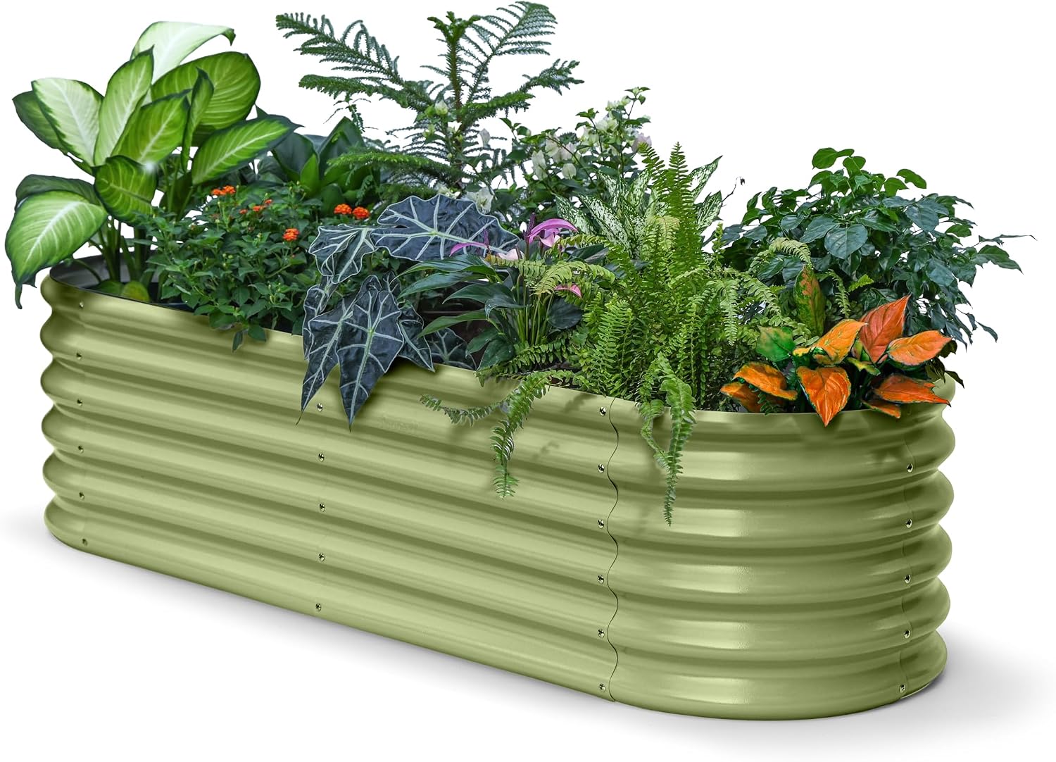 6x2x1.5 ft Galvanized Raised Garden Bed, 18' Tall Metal Raised Planters for Outdoor Plants, Vegetables, Herbs, Above Ground Raised Garden Bed Kit for Small Space Gardening - Moss Green