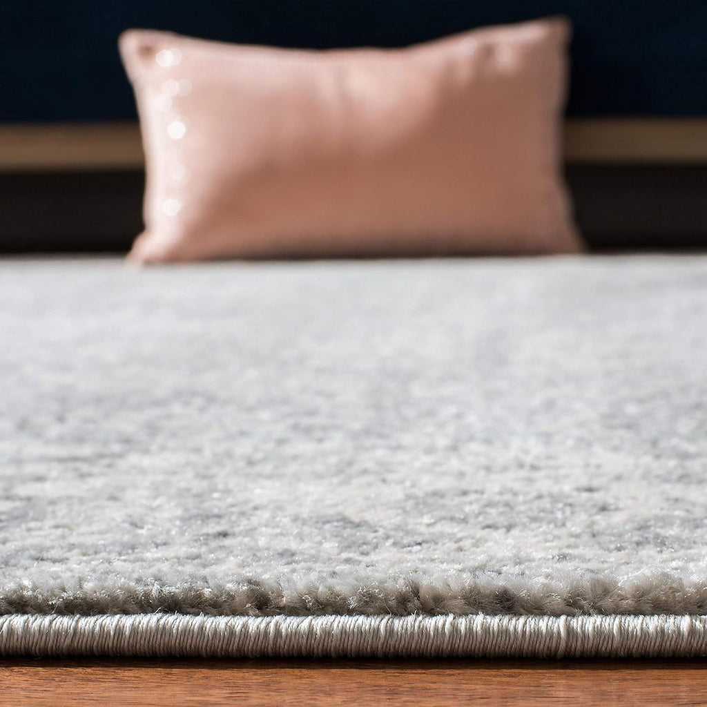 SAFAVIEH Evoke Collection Area Rug - 9' x 12', Silver & Ivory, Shabby Chic Distressed Design, Non-Shedding & Easy Care, Ideal for High Traffic Areas in Living Room, Bedroom (EVK270Z)