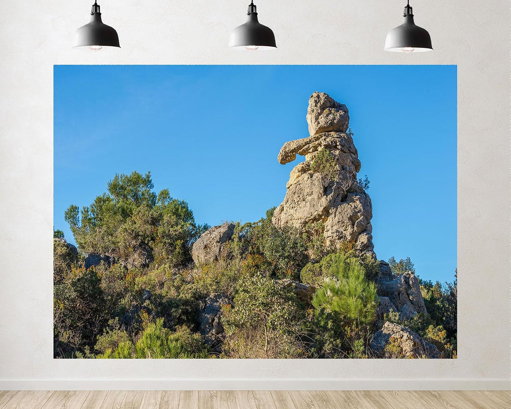 Trykid 20x10ft Unique Rock Formation Backdrop Jagged Limestone Clear Blue Sky Bushes Photography Background Nature Shoots Tapestry Party Decoration Photo Studio Prop Fabric