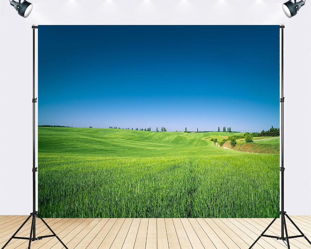 Trykid 20x10ft Lush Green Fields Clear Blue Sky Backdrop Serene Rural Landscape Photography Background Harvest Festival Event Party Decoration Photo Booth Prop Fabric