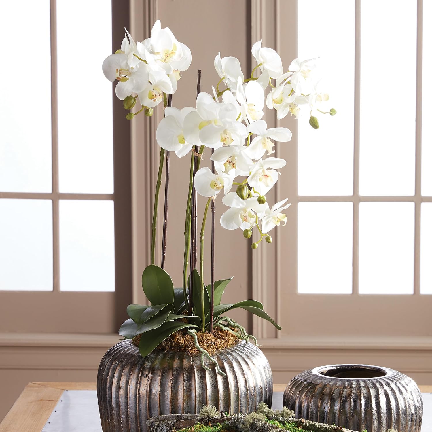 Napa CC 30' PHALAENOPSIS Drop-in, 8x16x35.5 Inches