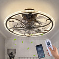 Retro Black Ceiling Fan with Lights Remote Control, 6 Speeds 3 Color Industrial Caged Ceiling Fan with Light for Kitchen Bedroom Living Room