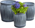 WHW Whole House Worlds French Country Style Tall Belly Bucket Pot Planters, Set of 3, Galvanized Metal, Vintage Grey, White Patina, Corrugated Cache Pots, Rustic, 22.5'