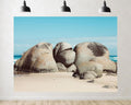 Trykid 20x10ft Coastal Boulders Backdrop with Smooth Rocks and Clear Blue Sky for Photography Background Wedding Bridal Shower Birthday Party Decoration Photo Booth Prop Fabric