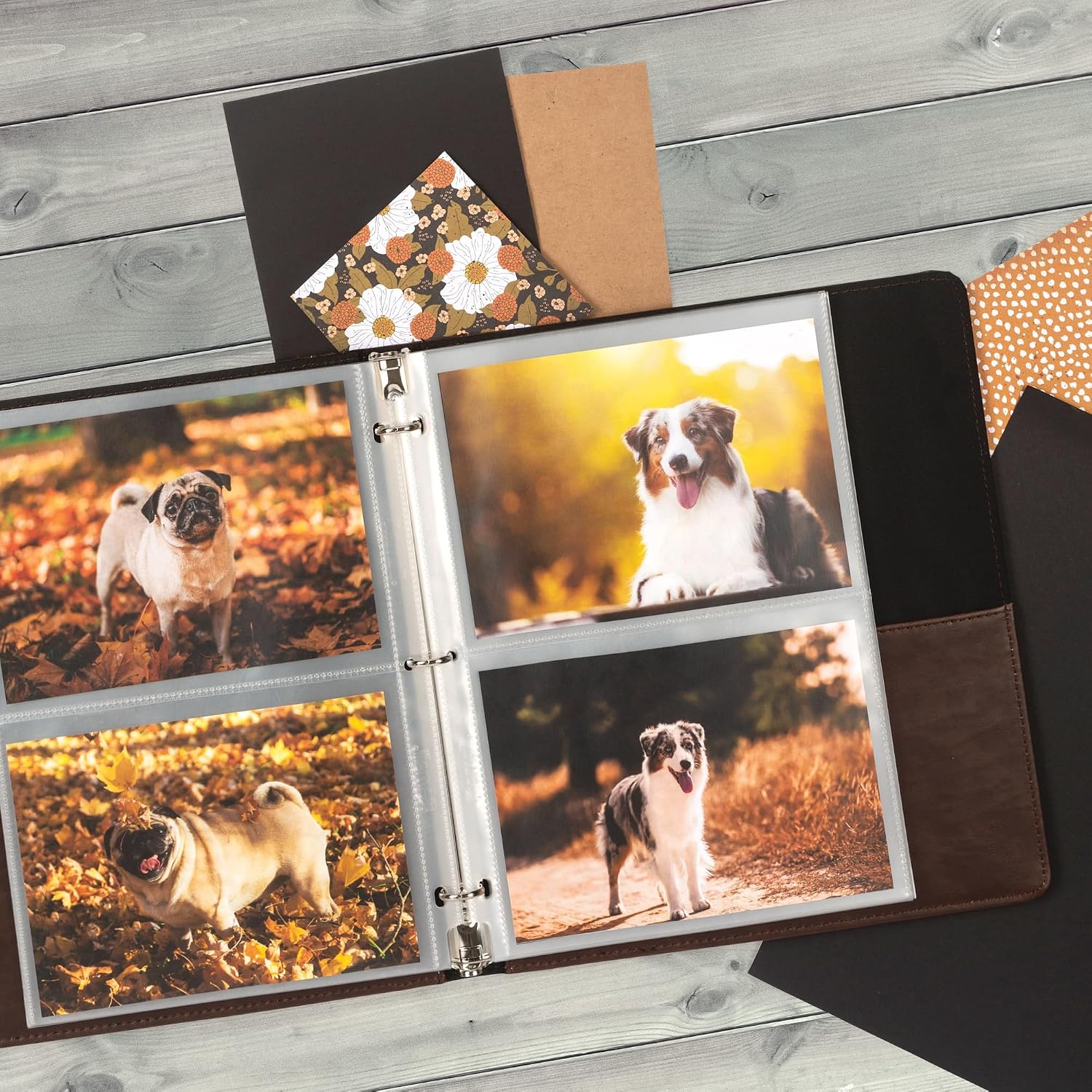 Samsill 5x7 Photo Album Refills, 100 Pictures, 3-Ring Binder Sleeve Inserts, 2 Pocket Photo Page for 5x7 Photographs, Postcards, Recipe Cards, 400 Pictures Total (Pack of 1000)