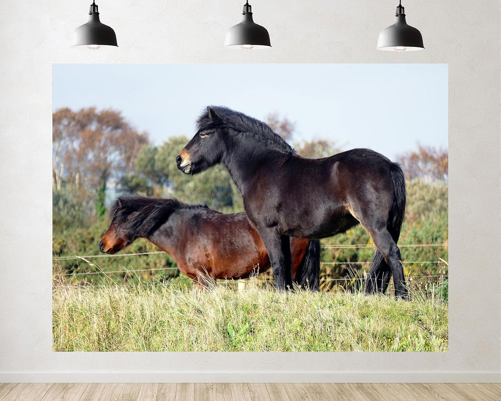 Trykid 20x10ft Black Brown Pony Backdrop Lush Green Pasture Clear Sky Equestrian Scene Photography Background Countryside Farm Tapestry Party Decoration Photo Studio Prop Fabric