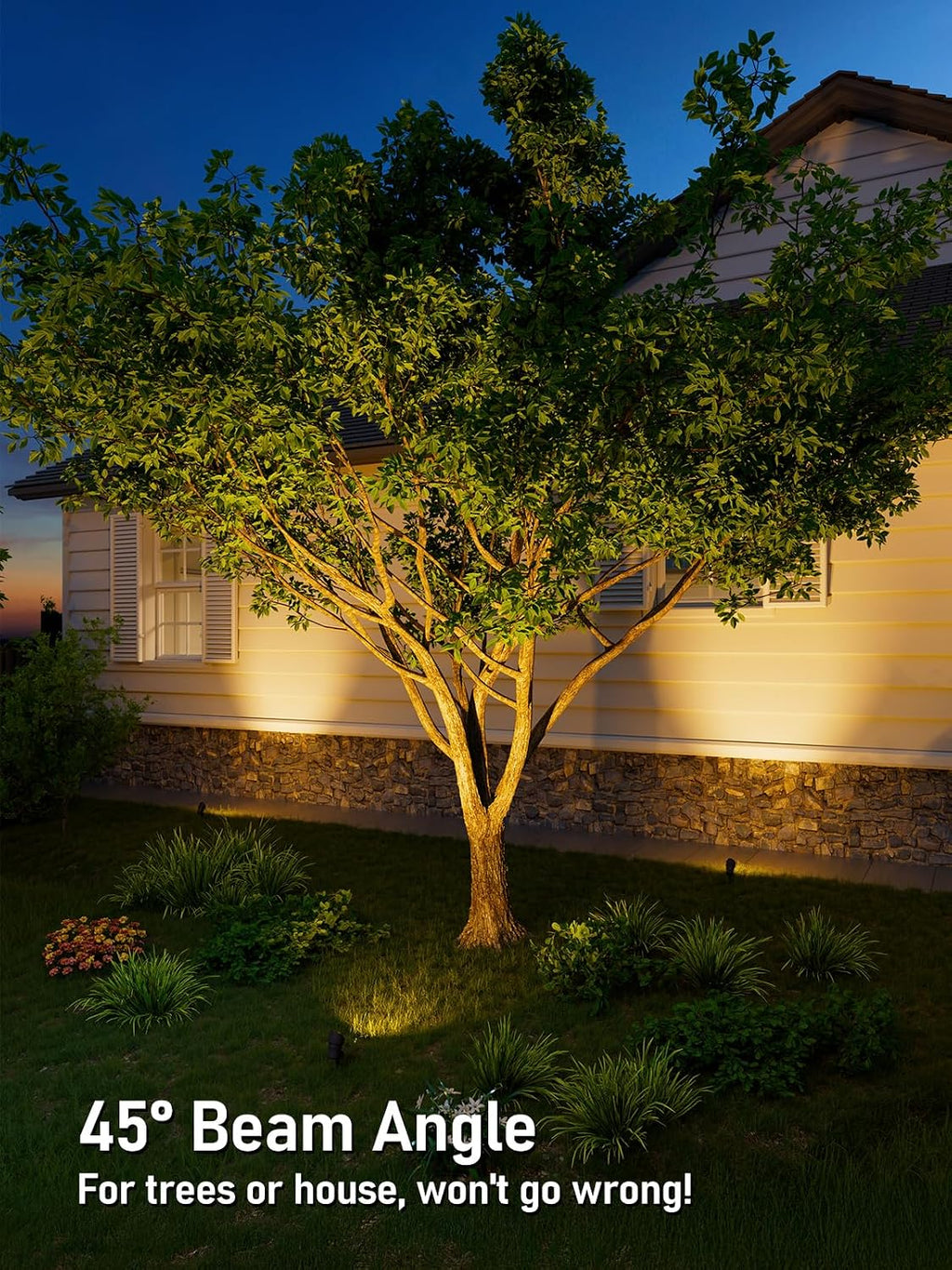 LEONLITE 12-Pack 5CCT Low Voltage LED Landscape Spotlight, Update 1800K2700K3000K4000K5000K Selectable, 5W 12V Pathway Lights Outdoor, CRI90, Aluminum Spot Lights for Garden Yard, ETL, IP65 Waterproof