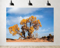 Trykid 20x10ft Desert Poplar Golden Tree Backdrop Bright Golden Clear Blue Rough Sandland Wild Natural Scenery Photography Background Autumn Theme Party Decoration Photo Booth Prop Fabric