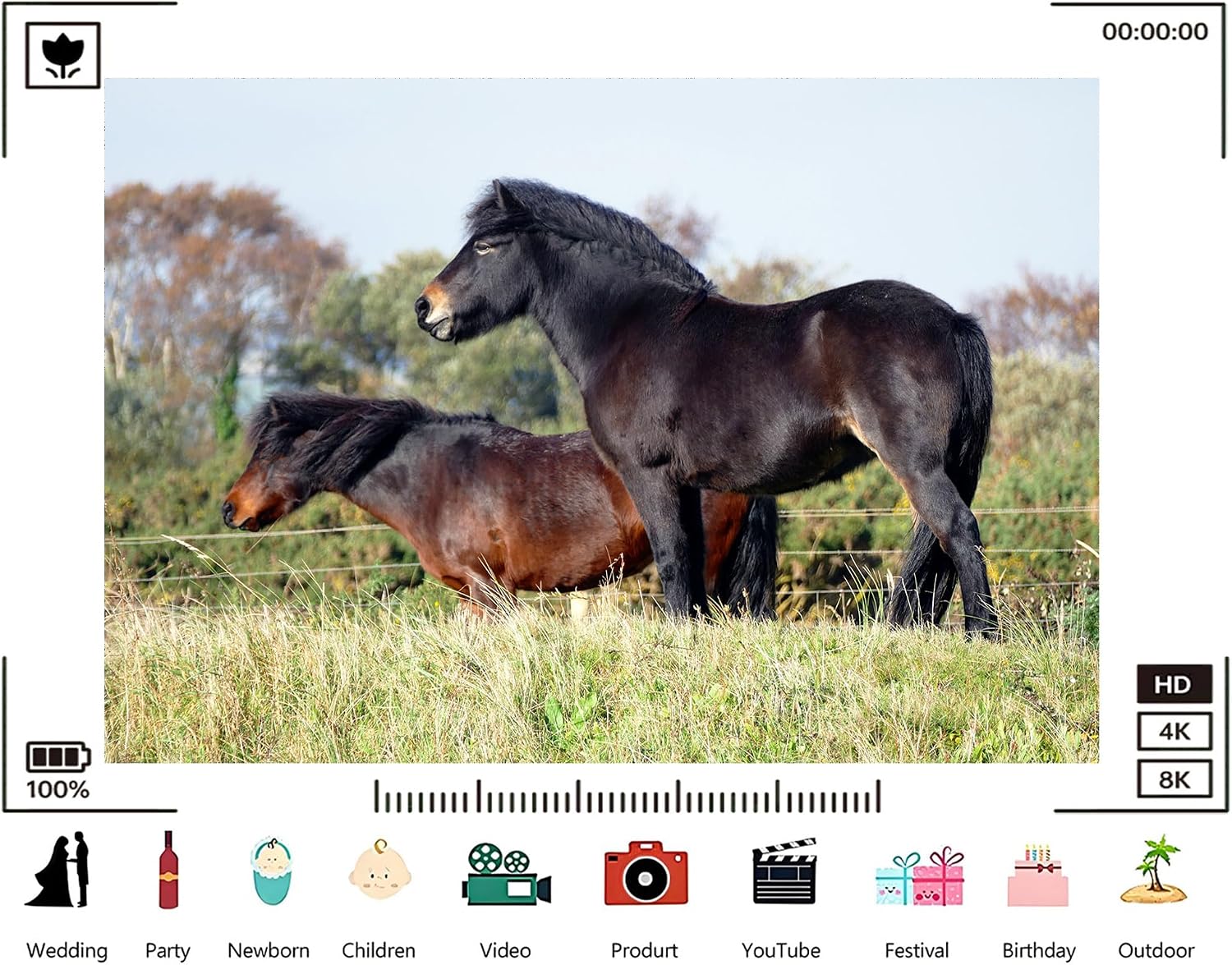 Trykid 20x10ft Black Brown Pony Backdrop Lush Green Pasture Clear Sky Equestrian Scene Photography Background Countryside Farm Tapestry Party Decoration Photo Studio Prop Fabric