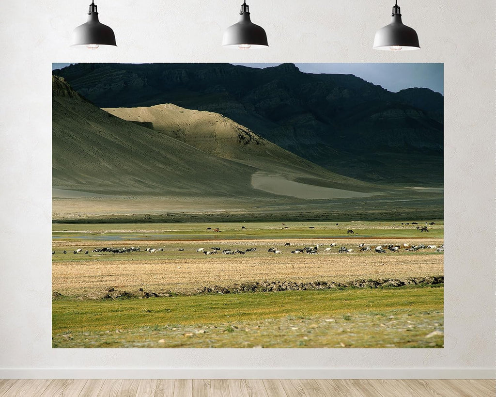 Trykid 20x10ft Grazing Herds Backdrop Rugged Mountain Slopes Golden Plains Clear Skies Photography Background Countryside Wedding Event Party Decoration Photo Booth Prop Fabric