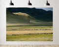 Trykid 20x10ft Grazing Herds Backdrop Rugged Mountain Slopes Golden Plains Clear Skies Photography Background Countryside Wedding Event Party Decoration Photo Booth Prop Fabric