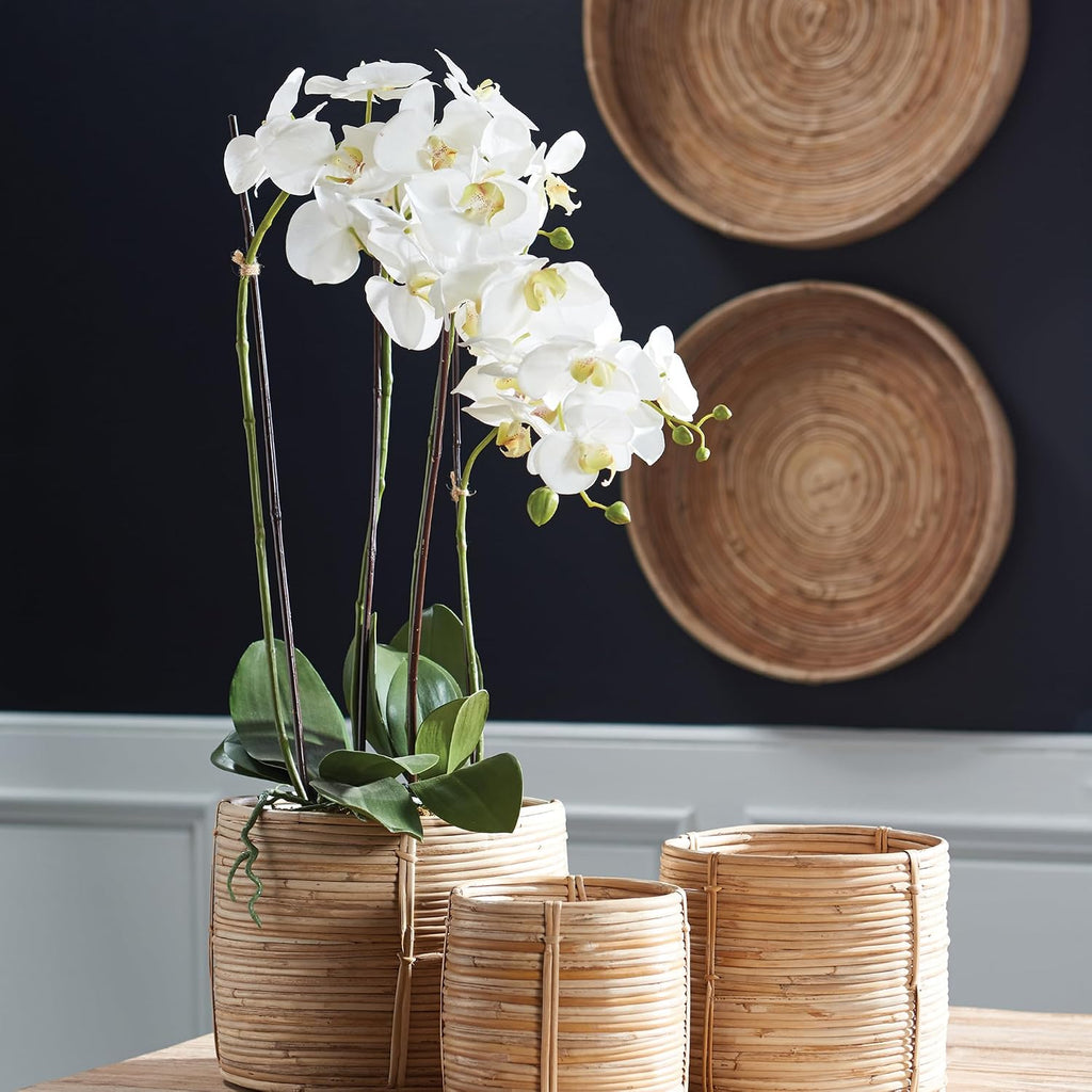 Napa CC 30' PHALAENOPSIS Drop-in, 8x16x35.5 Inches