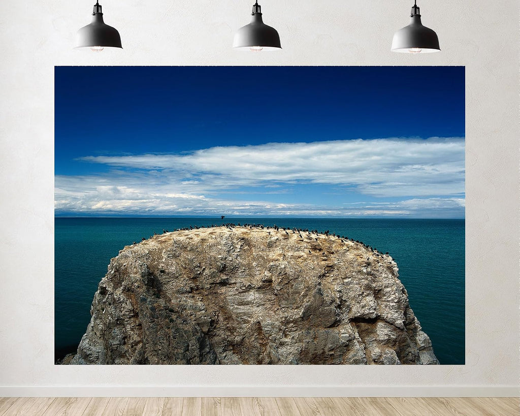 Trykid 20x10ft Bird Rock Backdrop Turquoise Sea Clear Sky Seabird Colony Coastal Waters Photography Background Countryside Wedding Event Party Decoration Photo Booth Prop Fabric