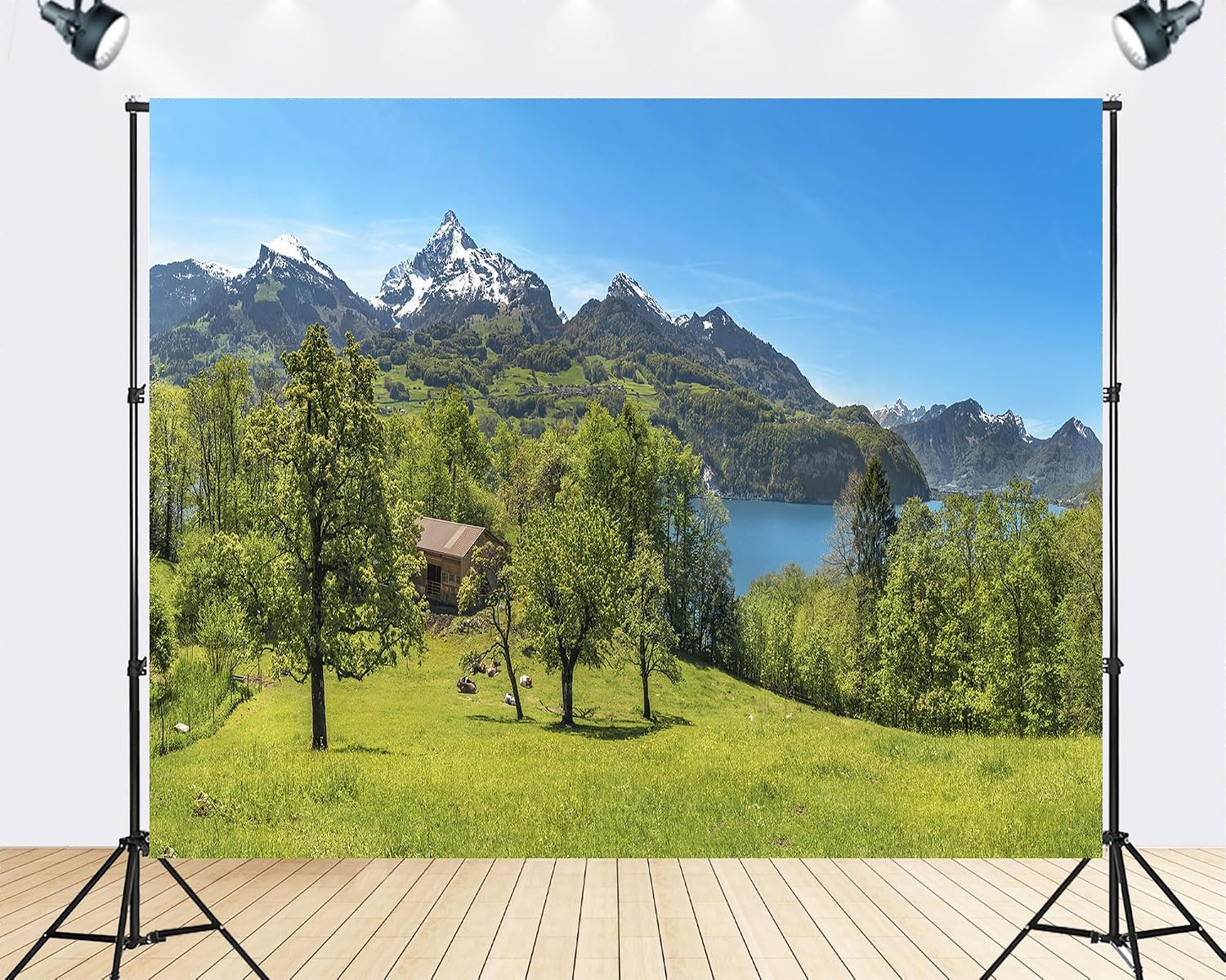 Trykid 20x10ft Alpine Lake Snow Mountain Backdrop Fresh Green Forest Clear Water Peak View Natural Landscape Photography Background Travel Theme Shoot Party Decoration Photo Booth Prop Fabric
