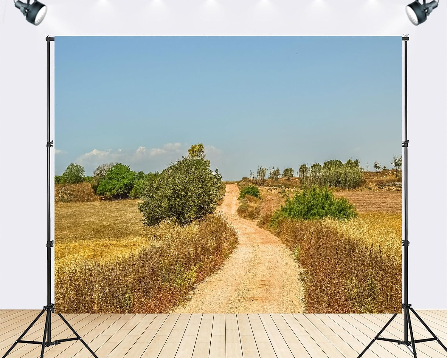 Trykid 20x10ft Rural Dirt Road Dry Vegetation Backdrop Countryside Clear Sky Landscape Photography Background Travel Adventure Decor Party Decoration Photo Booth Prop Fabric