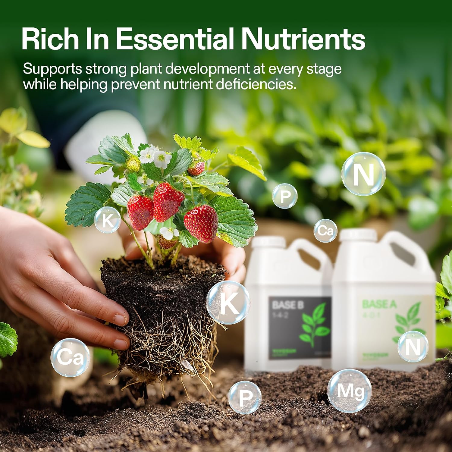 VIVOSUN Liquid Nutrients Base A & B Bundle, Grow Big Hydroponic Fertilizer, Supports Vegetative and Flowering Stages for Outdoor, Indoor Plants, Best Plant Food, Set of 1 Gallon (Pack of 2)