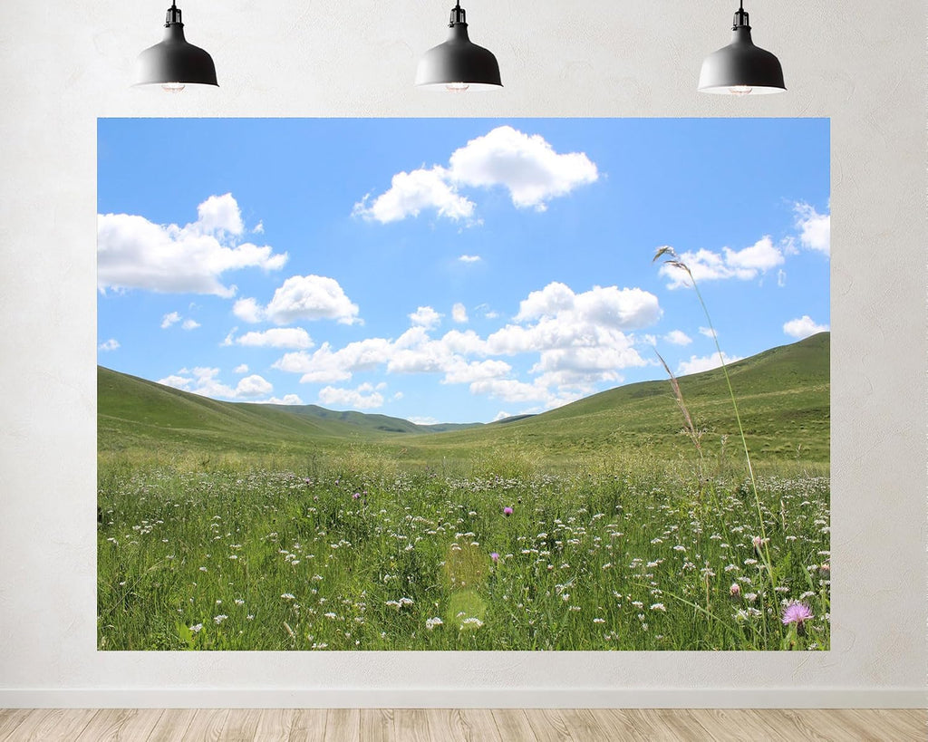 Trykid 20x10ft Wildflower Prairie Backdrop Rolling Hills Fluffy Clouds Clear Blue Sky Expansive Terrain Photography Background Countryside Wedding Party Decoration Photo Booth Prop Fabric