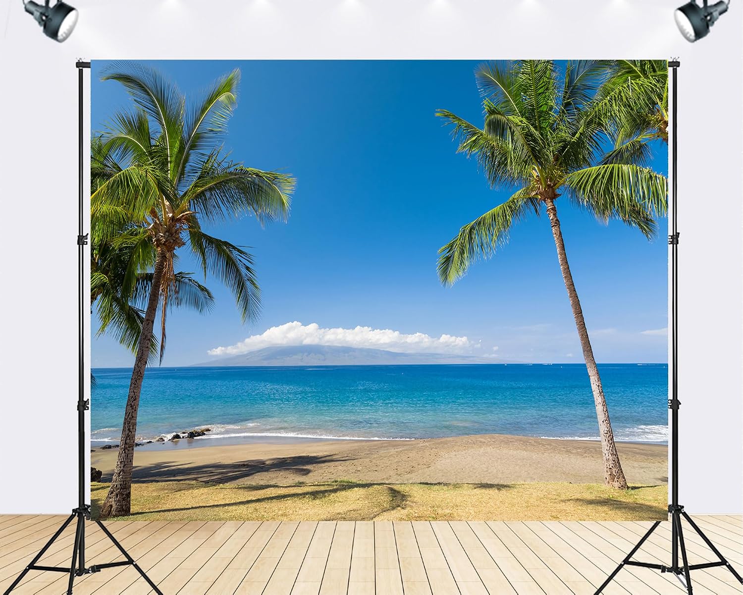 Trykid 20x10ft Twin Palm Trees Turquoise Ocean Backdrop Distant Island Clear Blue Sky Photography Background Tropical Vacation Relax Tapestry Party Decoration Photo Booth Studio Prop Fabric