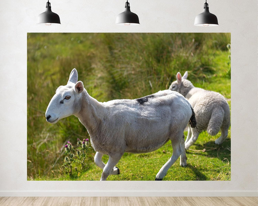 Trykid 20x10ft Spotted White Sheep Backdrop Lamb Companion Wild Grassland Rural Scene Photography Background Countryside Pastoral Life Party Decoration Tapestry Photo Booth Prop Fabric