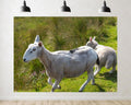 Trykid 20x10ft Spotted White Sheep Backdrop Lamb Companion Wild Grassland Rural Scene Photography Background Countryside Pastoral Life Party Decoration Tapestry Photo Booth Prop Fabric
